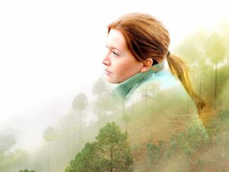 Jitřní záře online zdarma