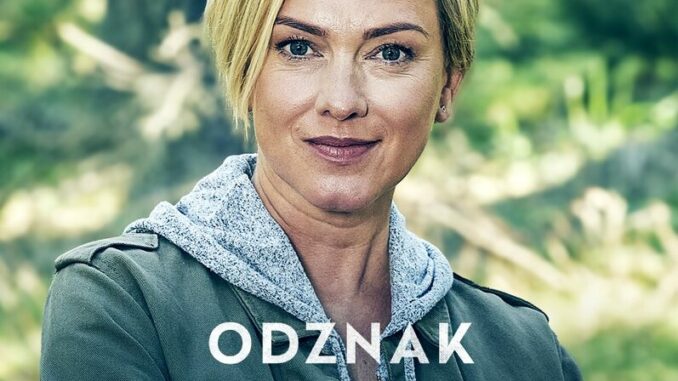 Odznak Vysočina