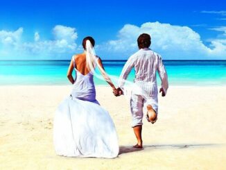 Svatba na první pohled online zdarma