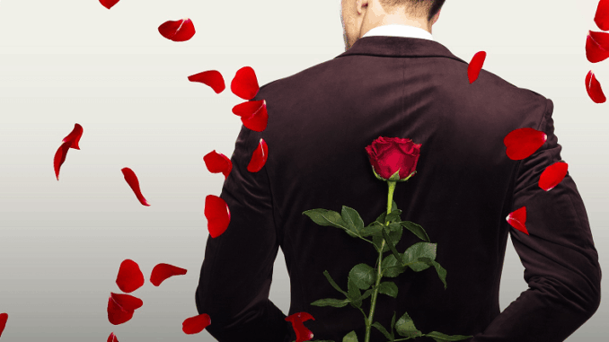 Bachelor - online zdarma