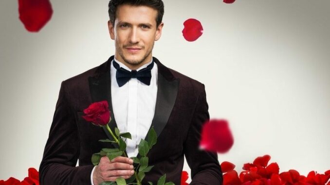 Bachelor 12.11.2024