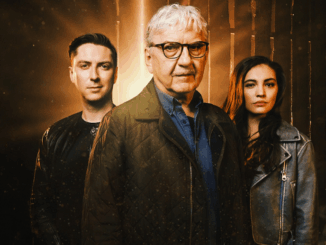 Záhadné případy online zdarma